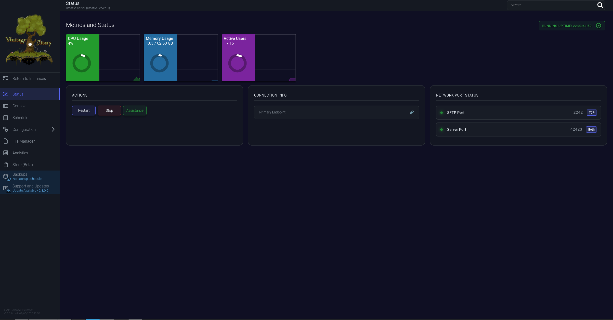 Detailed instance management panel with configuration options